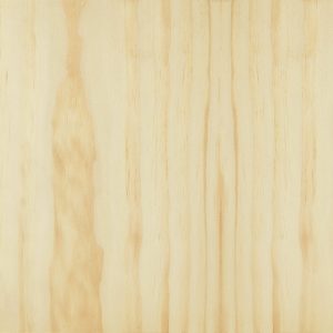 02-Pine_Radiata_400x600_2021_sized